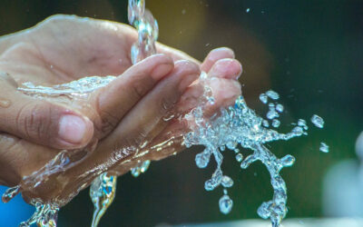 Trinkwasserqualität sichern